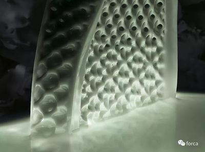 【产品】都是300刀,你会选哪双球鞋呢?